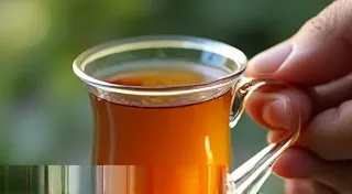 Bone China vs. Porcelain: Understanding the Material of Your Tea Cup