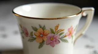 Identifying Shelley Tea Cups: Patterns and Markings